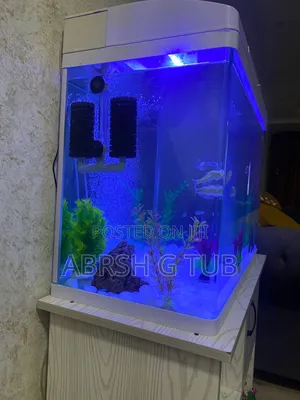 Aquarium የዓሳ ቤት ከነ ሙሉ እቃው እንሰራለን