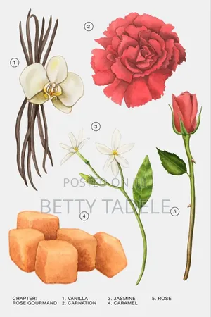 ZARA Rose Gourmand EDP 80 ML (2.71 Fl. Oz).