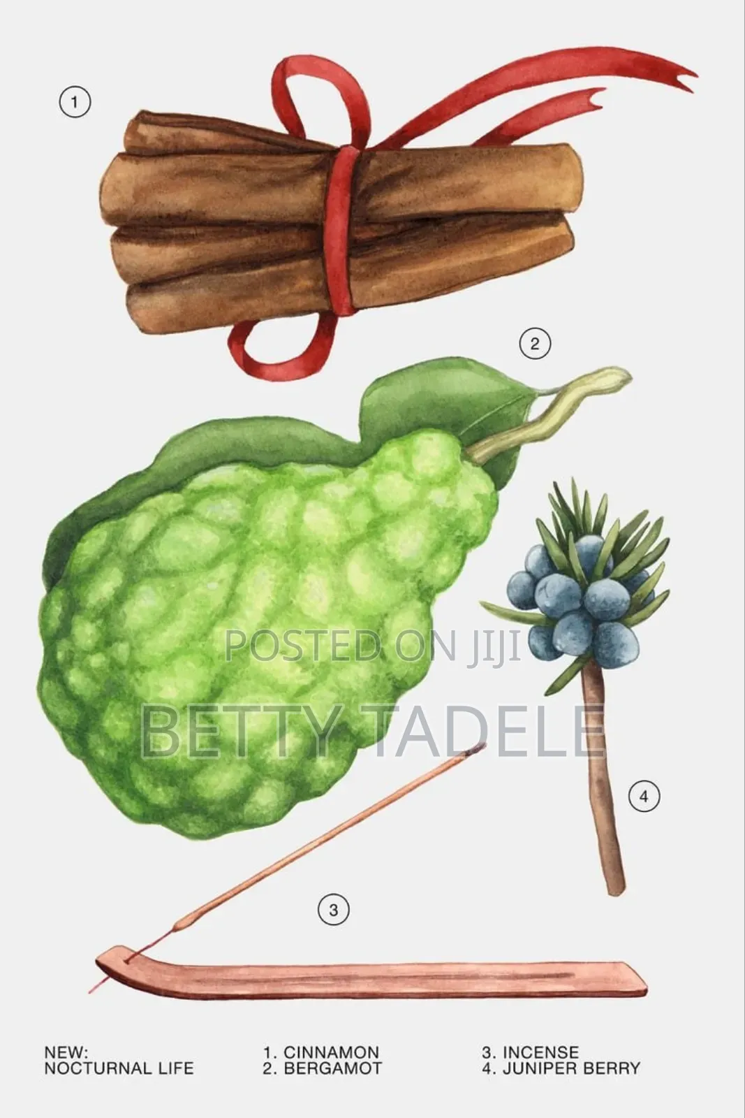 ZARA Nocturnal Life EDP 80 ML (2.7 Fl. Oz).