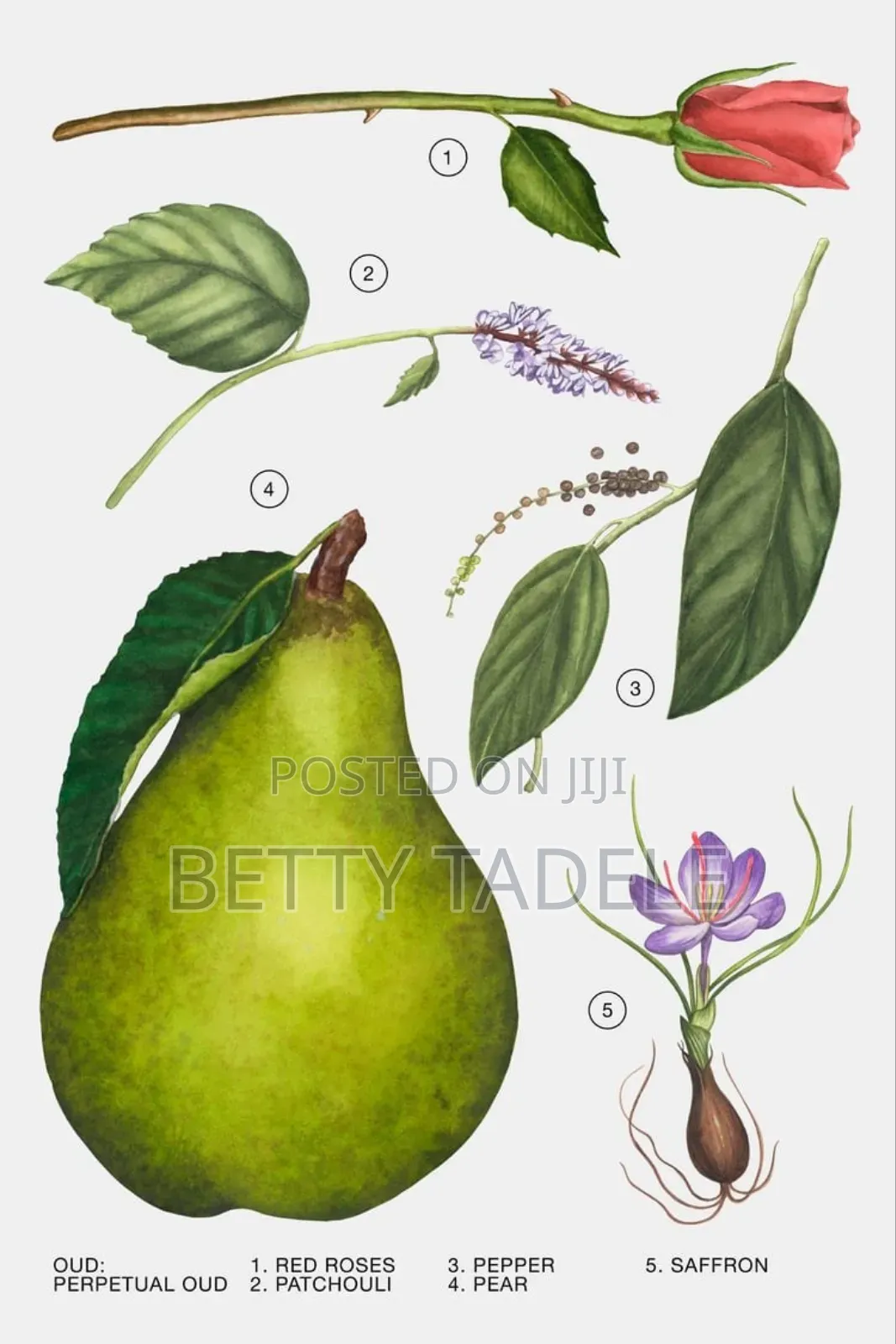 ZARA Perpetual Oud EDP 80 ML (2.7 Fl. Oz).