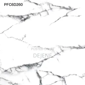 Arerti Ceramic 60*60 Polished