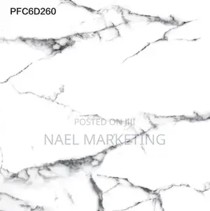 Arerti Ceramic 60*60 Polished