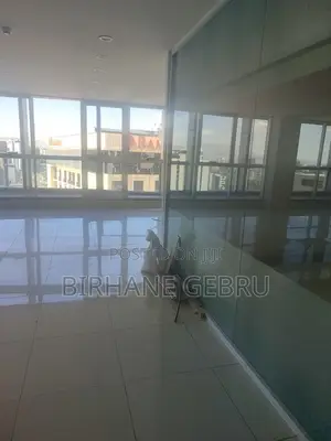 Luxury Apartiment Rent for Office