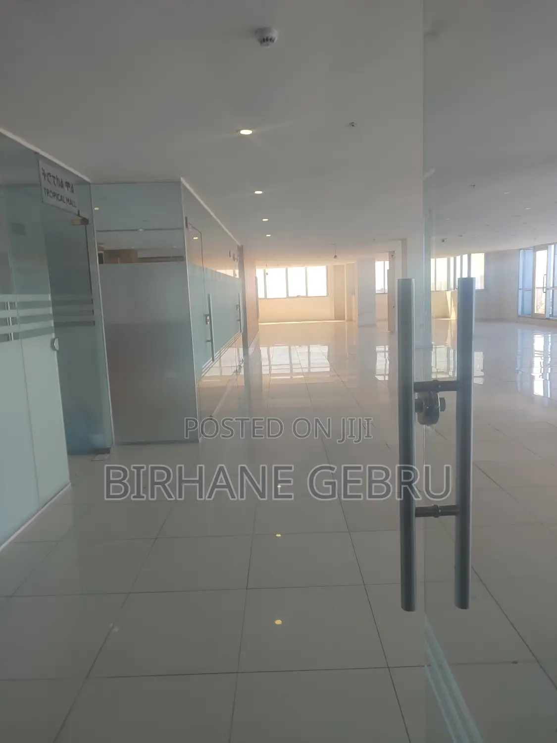 Luxury Apartiment Rent for Office