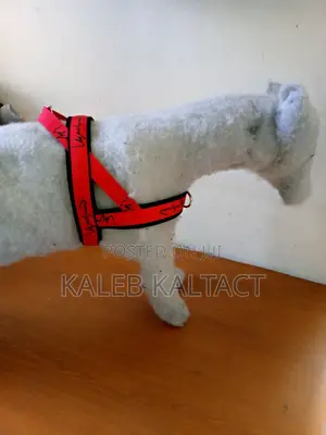 Photo - Dog Chest Strap Adjustable Harness