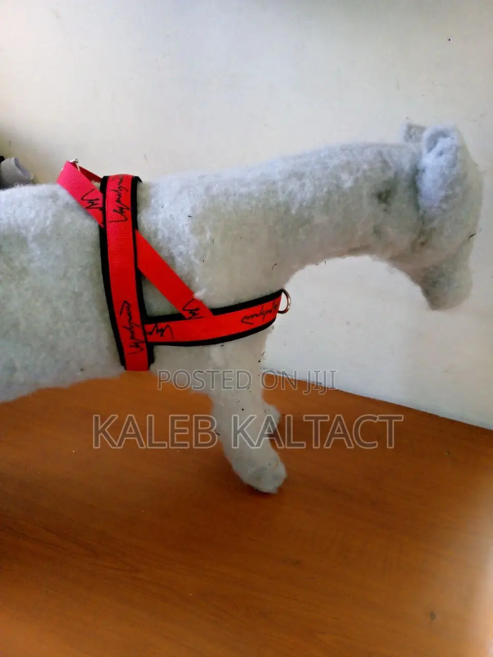 Dog Chest Strap Adjustable Harness