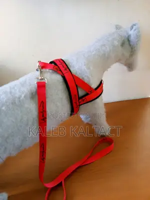 Dog Chest Strap Adjustable Harness