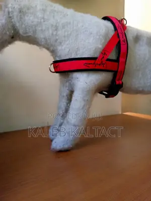 Dog Chest Strap Adjustable Harness