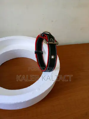 Photo - Metal Buckle Dog Collars