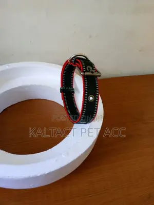 Metal Buckle Dog Collars