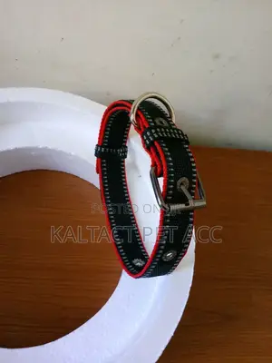 Metal Buckle Dog Collars