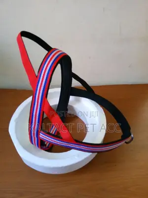 Chest Strap Dog Harness