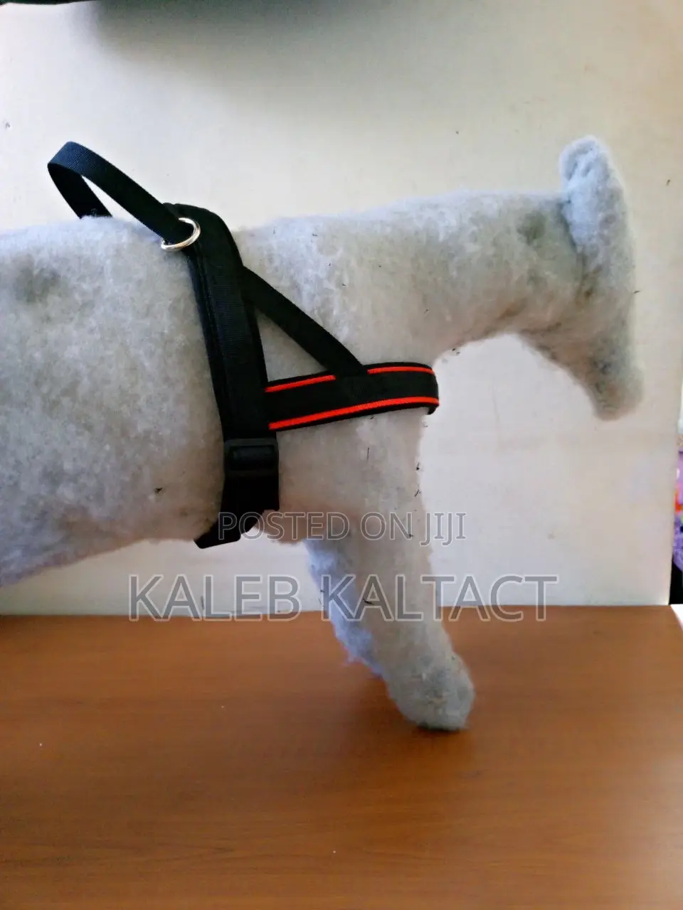Chest Strap Dog Harness