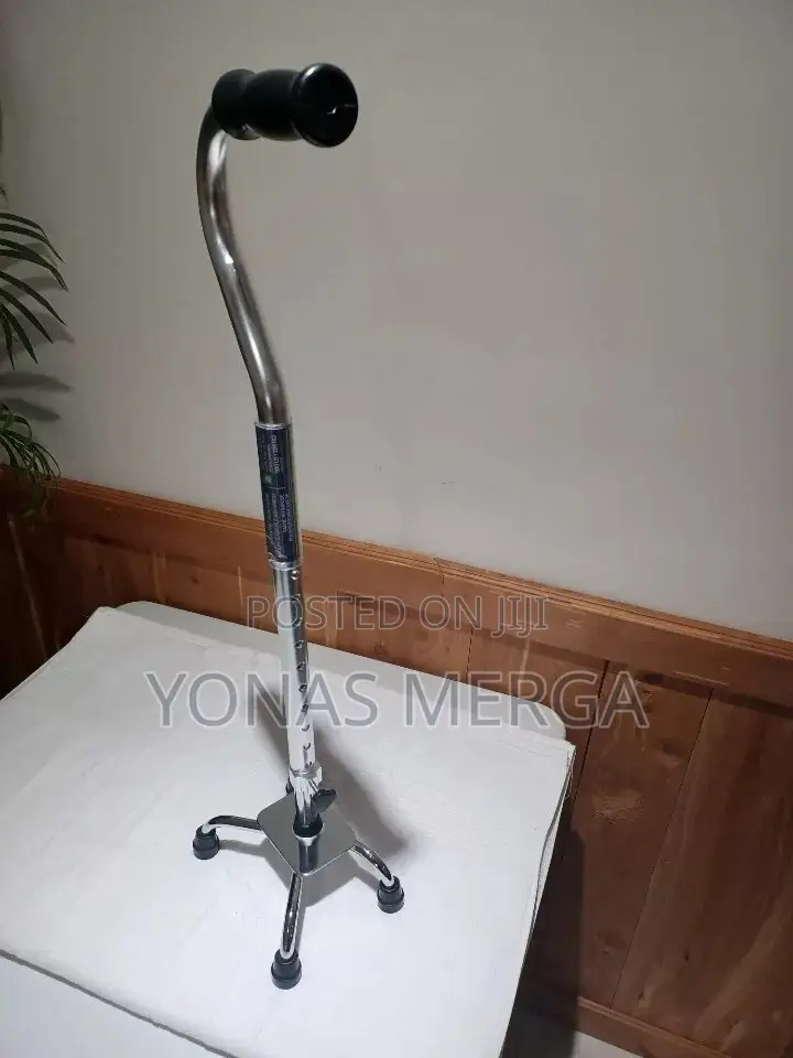 4legged Balancing Walking Stick茫walking Cane蔣bush Cane