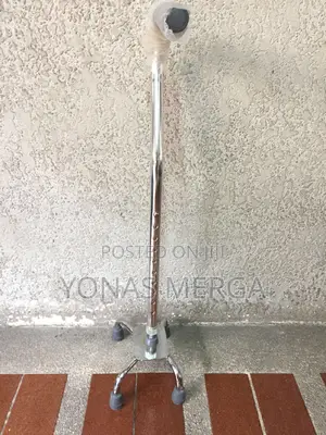 Photo - Walking Stick*Cane淨walking Stick鼯ከዘራ0walking Stick