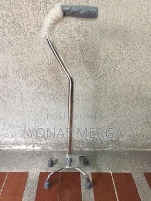 Walking Stick*Cane淨walking Stick鼯ከዘራ0walking Stick