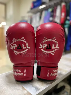 Photo - Box Training Equipment