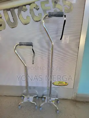 Photo - Walking Stick新cane風walking Stick背walking Kezera定cane