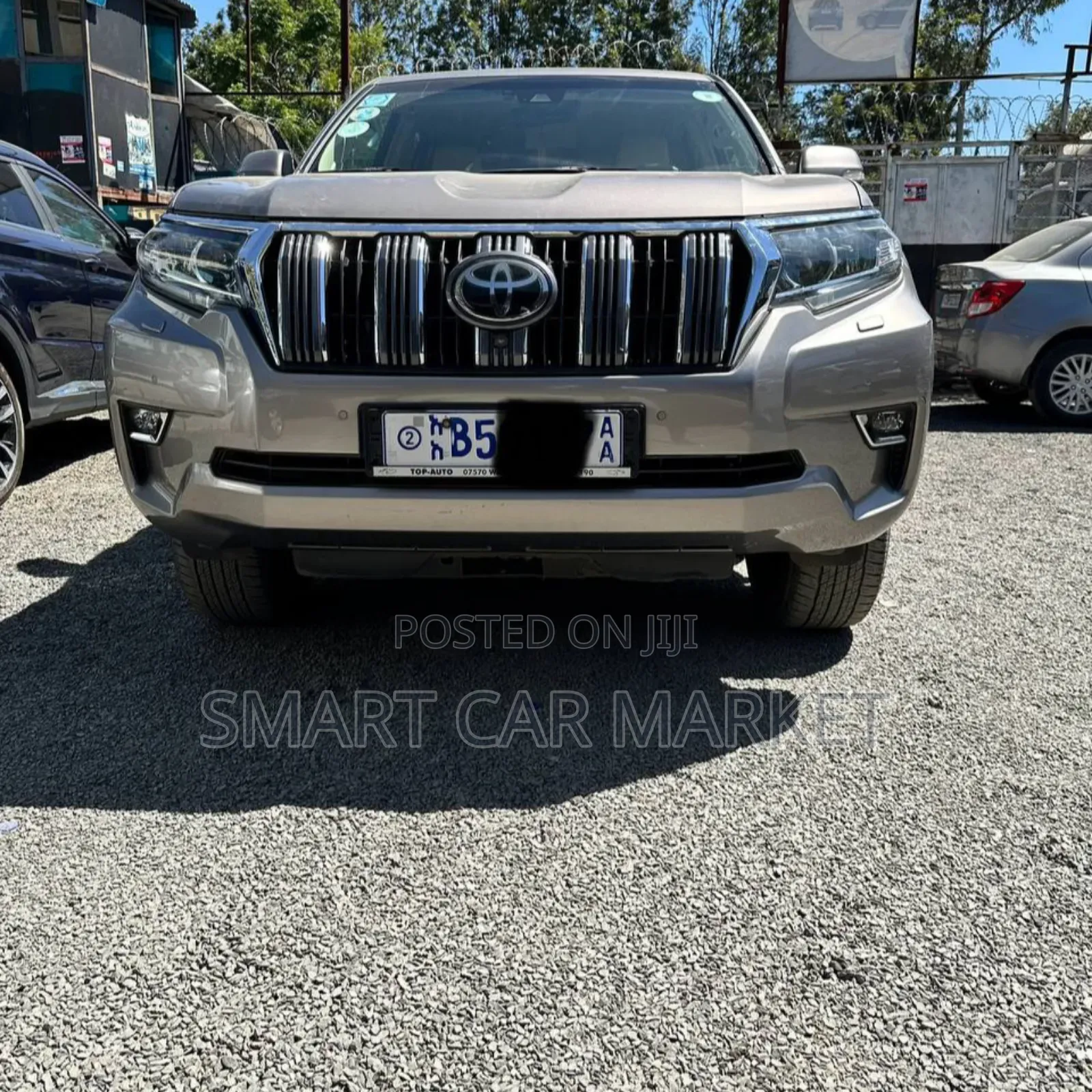 Toyota Land Cruiser 2019 Brown