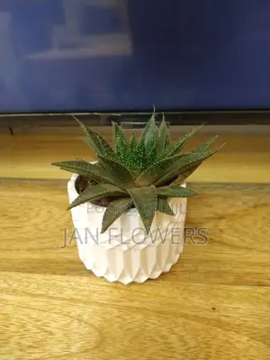 M2 Concrete Flower Pot With Natural Flower for Home Office