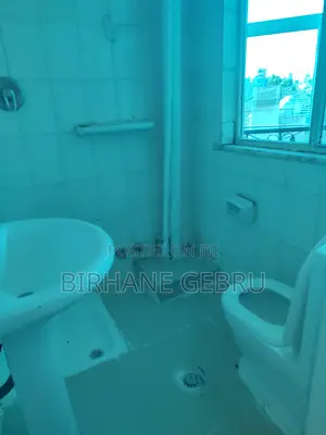 1bdrm Apartment in Apartiment, Bole for rent