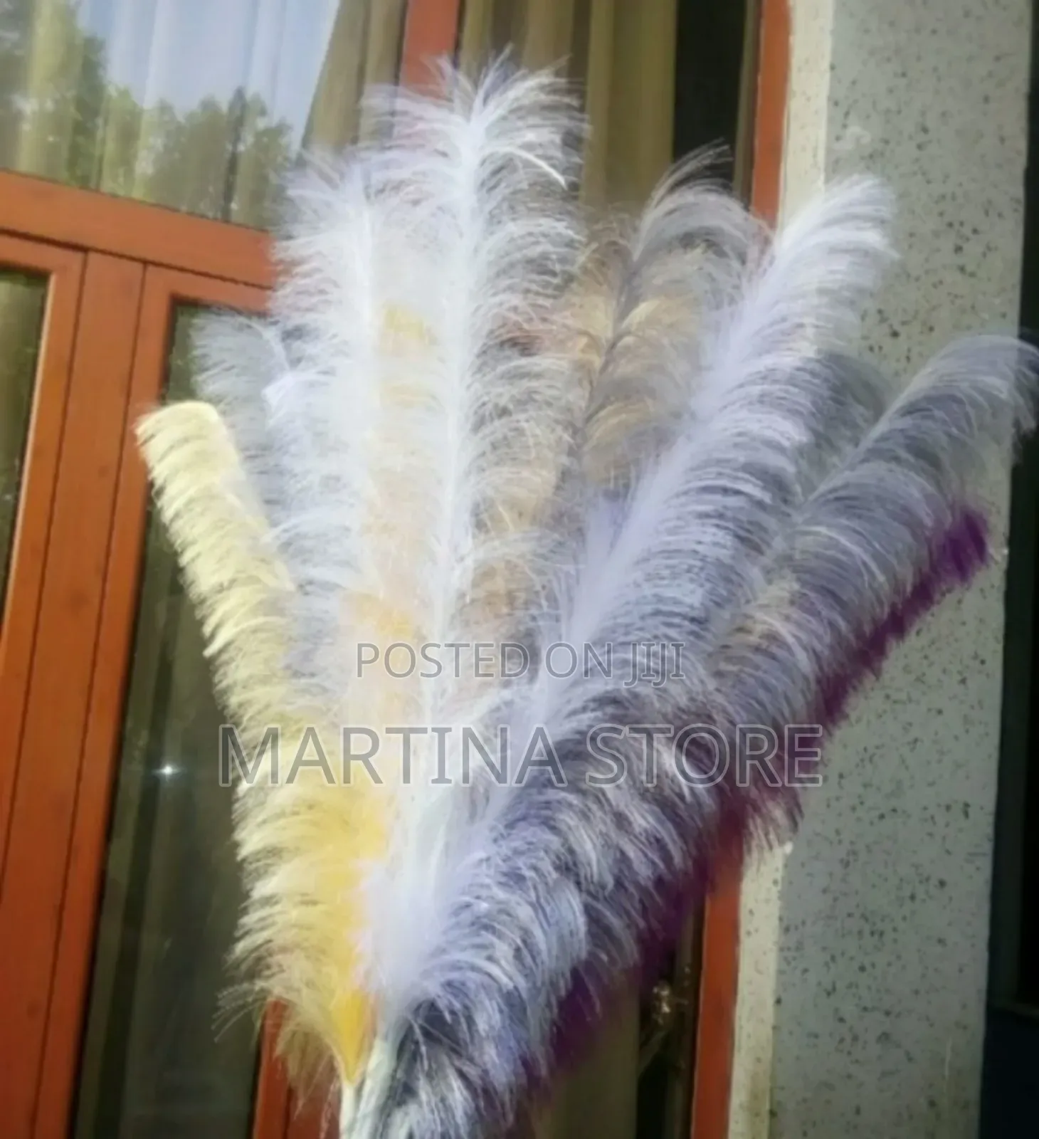 Ribbon Feathers