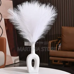 Photo - Ribbon Feathers