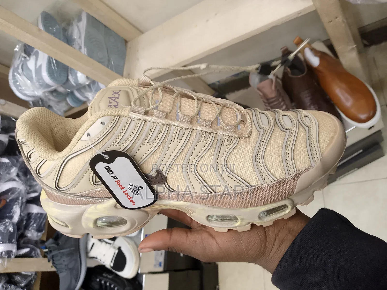 Nike Air Plus Master Quality Shoes for You