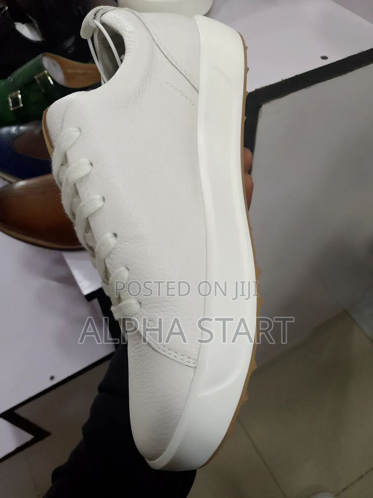 Ecco Master Quality Lather for You