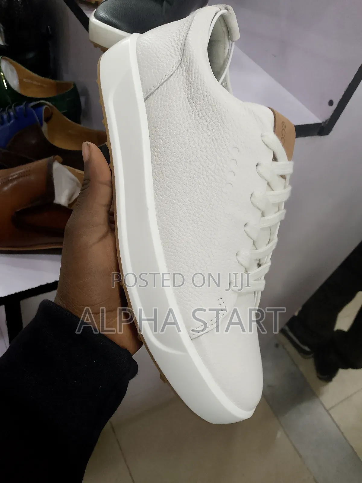 Ecco Master Quality Lather for You