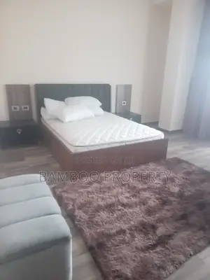 Photo - Furnished Studio Apartment in Bole for rent
