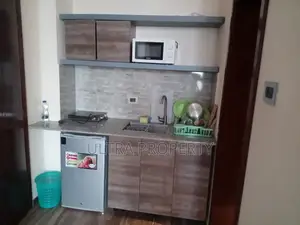 Furnished Studio Apartment in Bole for rent