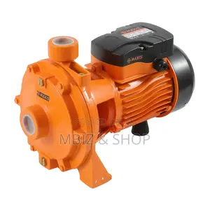 INGCO Water Pump