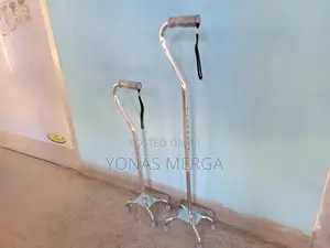 Photo - Walking Stick