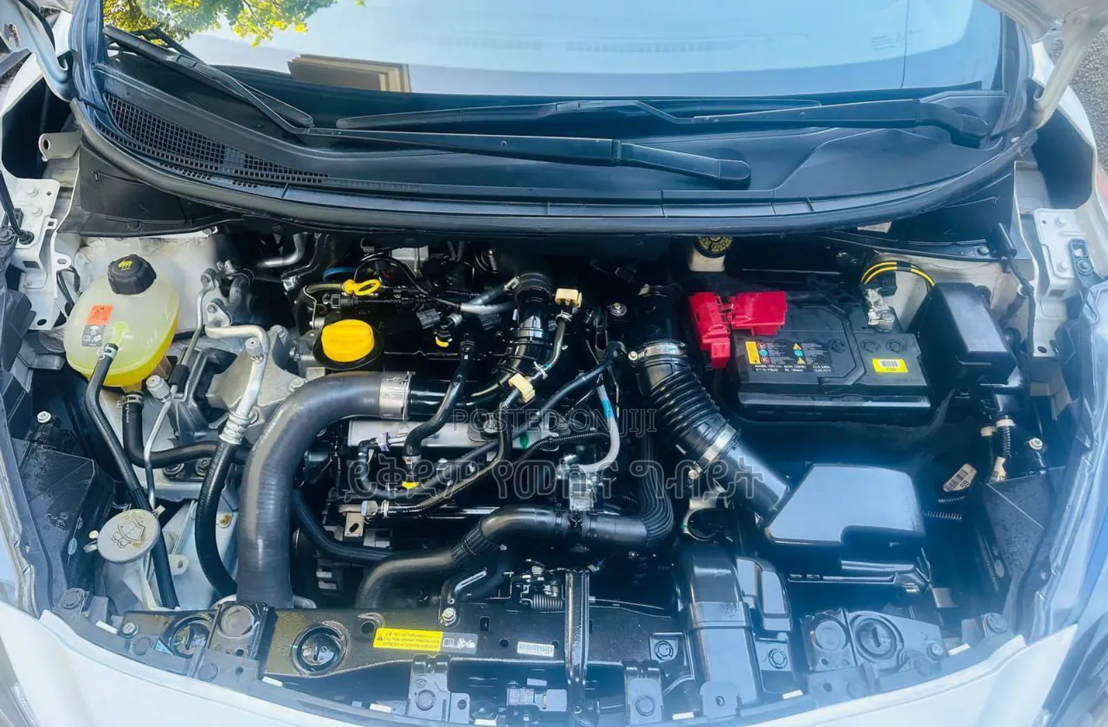 Nissan Micra 2022 White