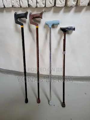 Photo - Walking Stick