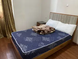 Furnished 3bdrm Apartment in Bole Bolbula for rent