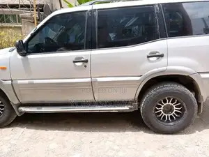 Nissan Terrano 2003 Silver