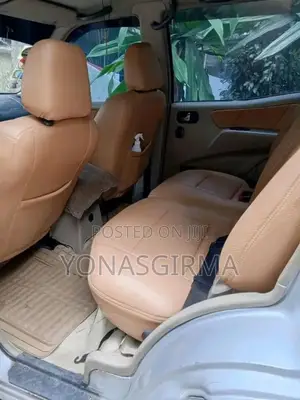 Nissan Terrano 2003 Silver