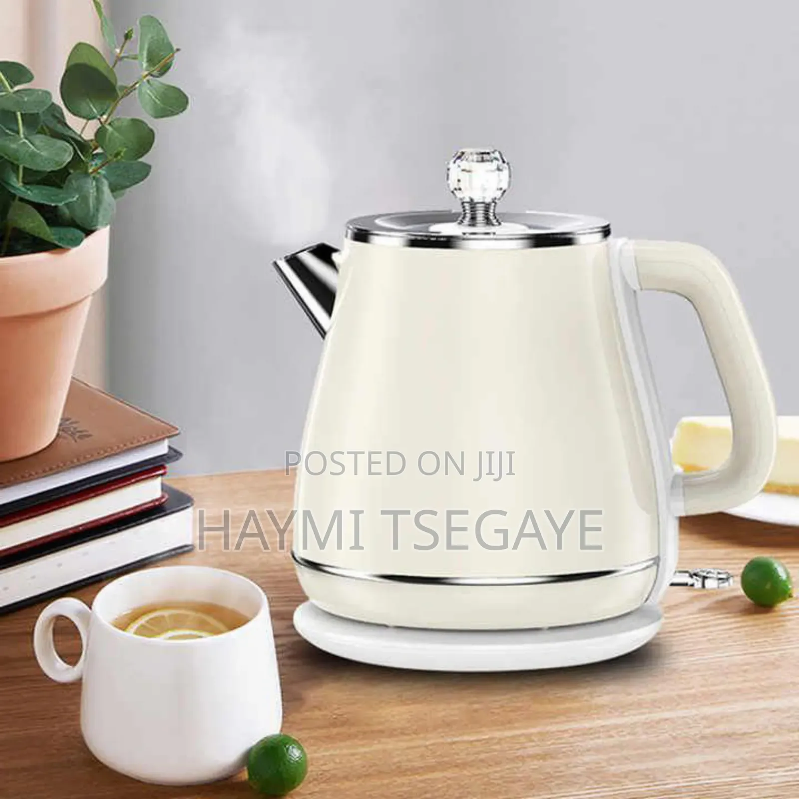 FAIRLADY Electric Kettle