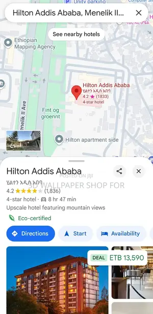 ጎግል ላይ ድርጅቶውን እናስመዝግብሎት