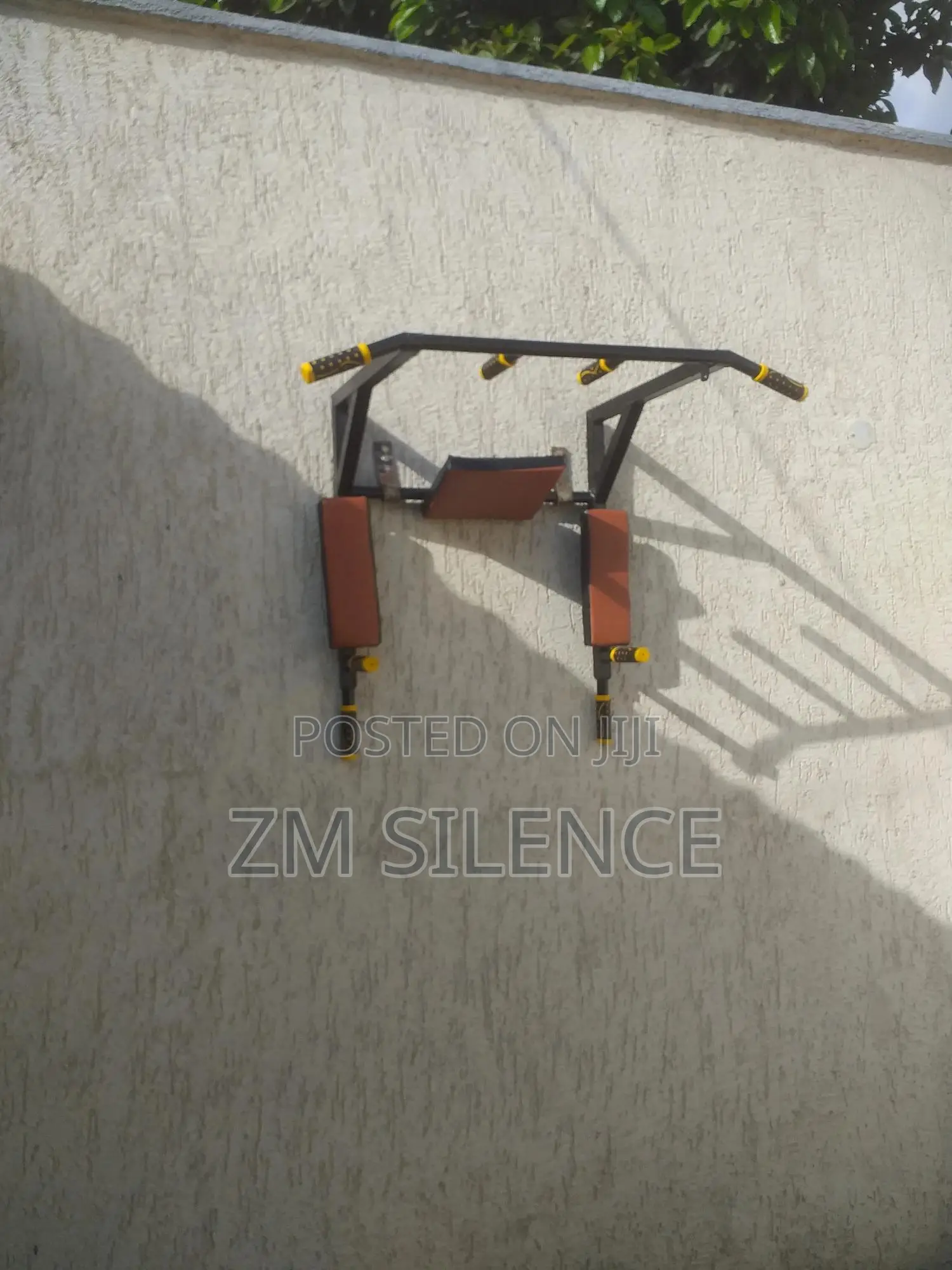 Wall Mounted Pull Up and Dip Up Bar