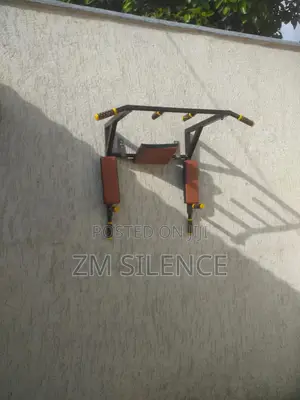 Wall Mounted Pull Up and Dip Up Bar