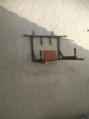 Photo - Wall Mounted Pull Up and Dip Up Bar