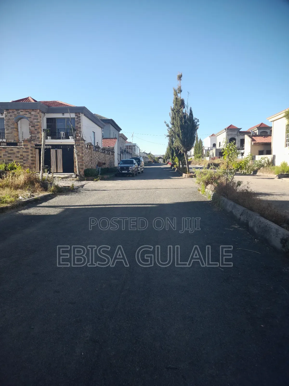 Harif Bet Roseta Real State Wusx