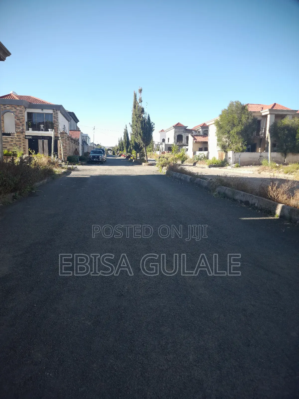 Harif Bet Roseta Real State Wusx