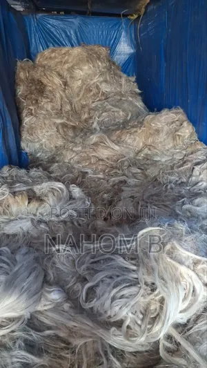 Photo - ቃጫ, Kachaa