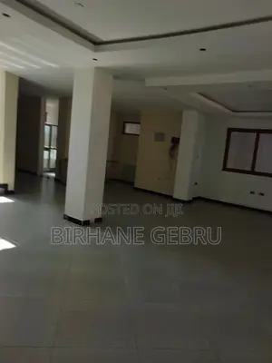 Luxury Apartiment Rent for Office or Business