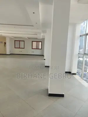 Luxury Apartiment Rent for Office or Business