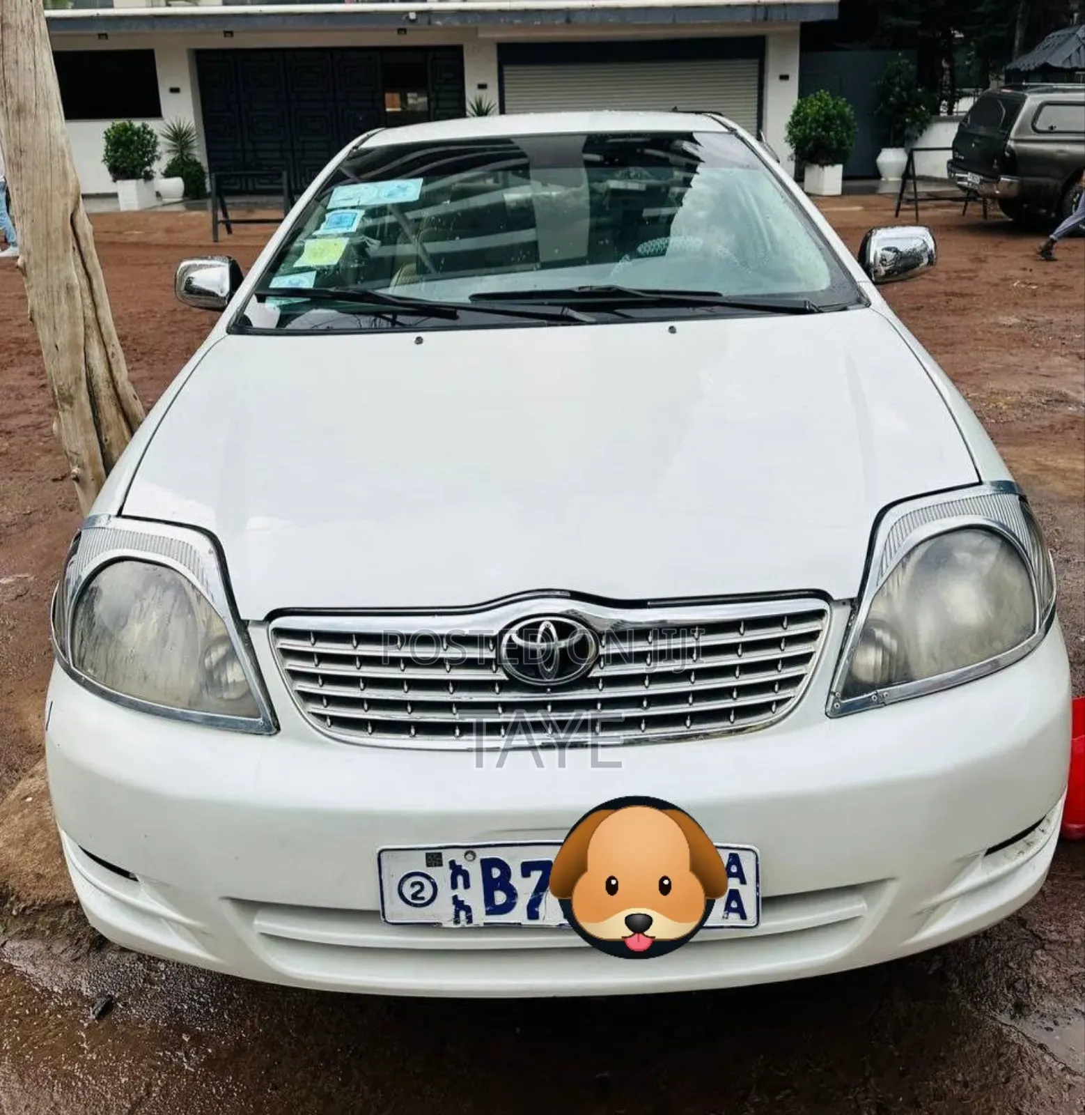 Toyota Corolla 2001 Ivory